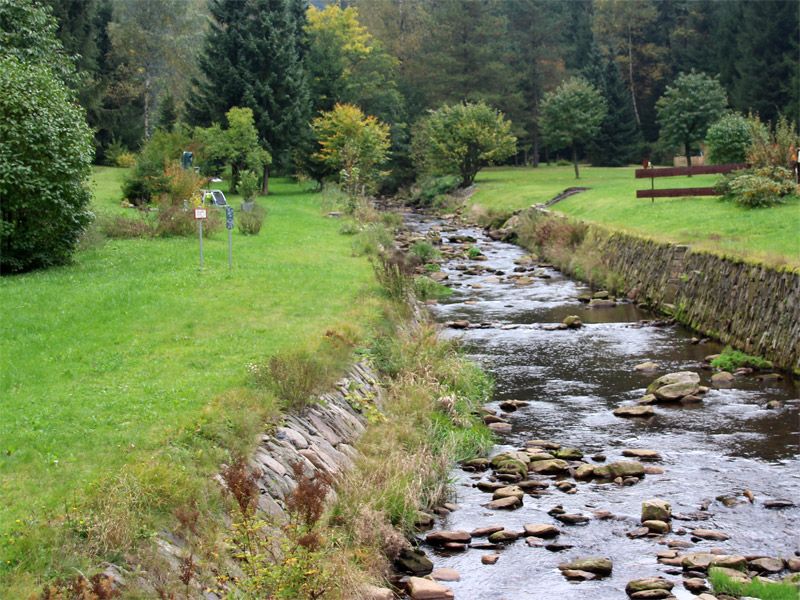 Grüner graben im Schwarzwassertal