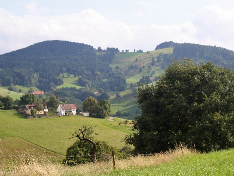 Ntionalpark Schwarzwald