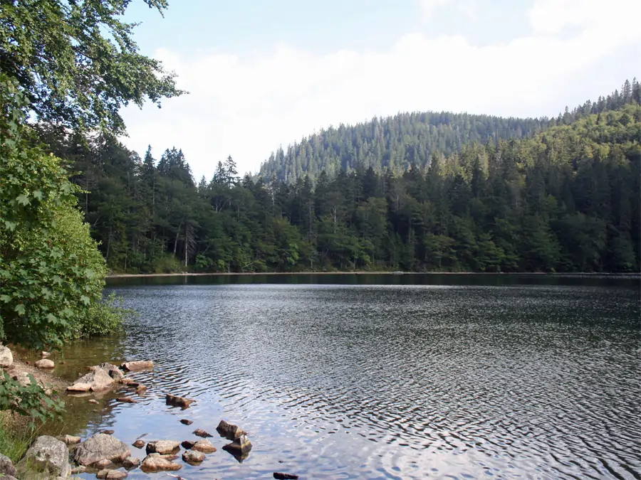 Feldsee unterhalb vom Feldberg