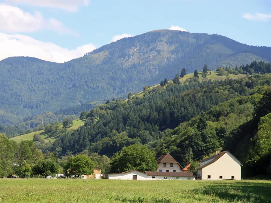 Große Belchen im Hintergrund