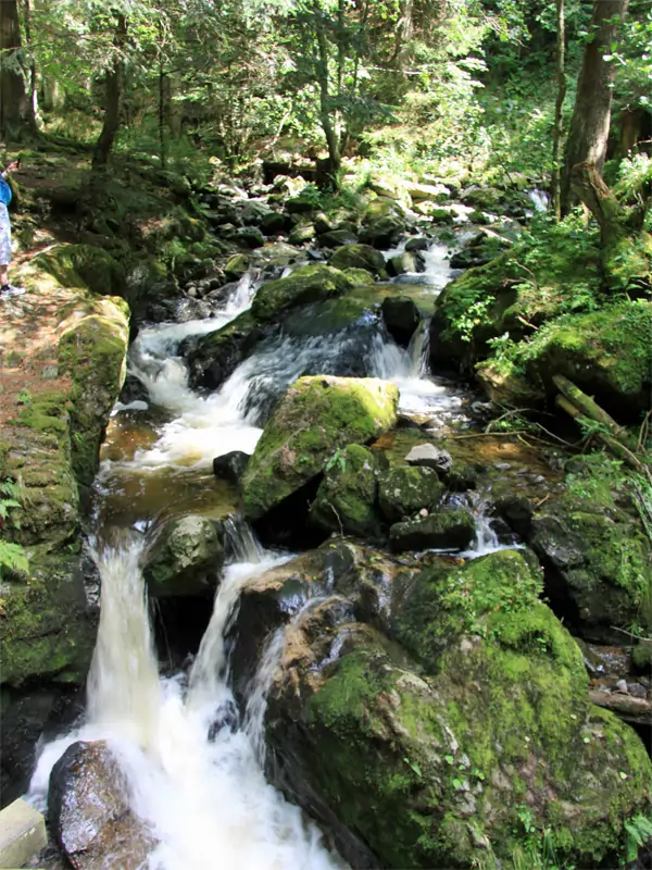 in der Ravennaschlucht