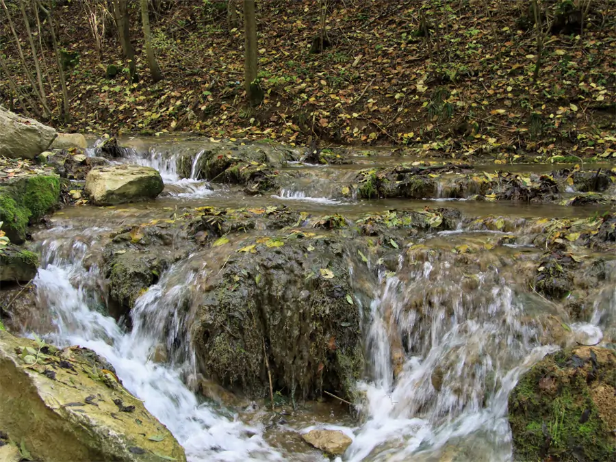 images/Bayern/Bilder/Kalktuffbach-Lillach3.webp#joomlaImage://local-images/Bayern/Bilder/Kalktuffbach-Lillach3.webp?width=900&height=675