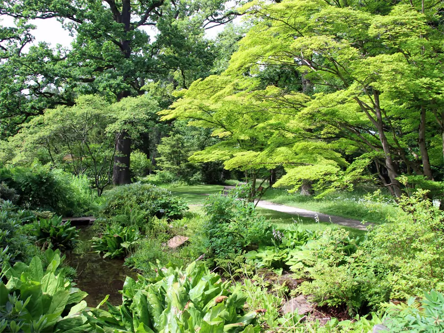 Im Botanischen Garten München