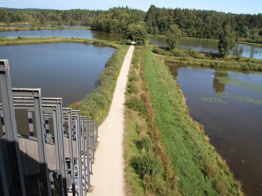 Tirschenreuther Teichpfanne mit Himmelsleiter
