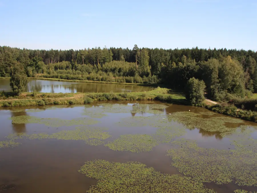 Tirschenreuther-Teichpfanne