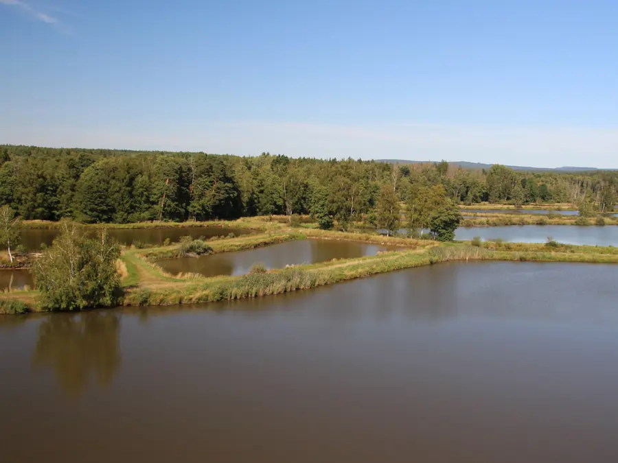 Tirschenreuther Teichpfanne