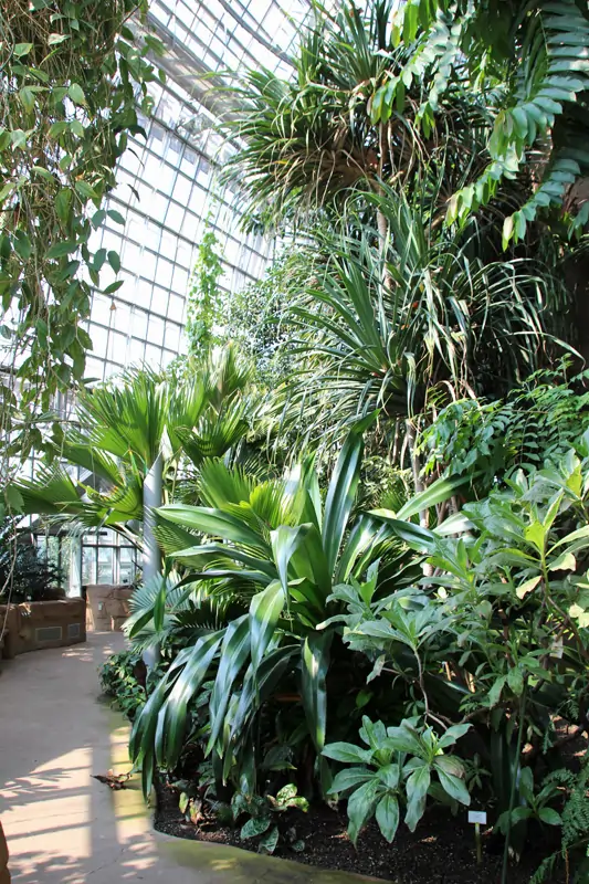 Figur im Botanische Garten von Berlin
