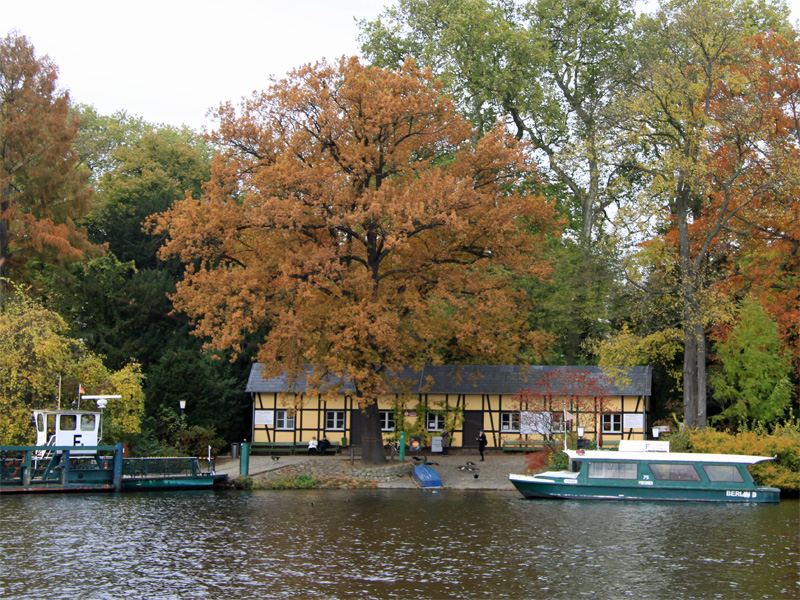 Uferbereich an der Pfaueninsel