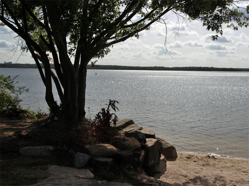 Senftenberger See in der Niederlausitz