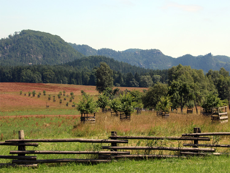 Rynartice (Rennersdorf) - ein Erholungsort