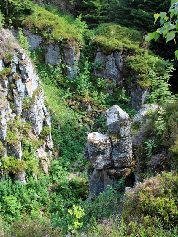 Wolfspinge am Plattenberg