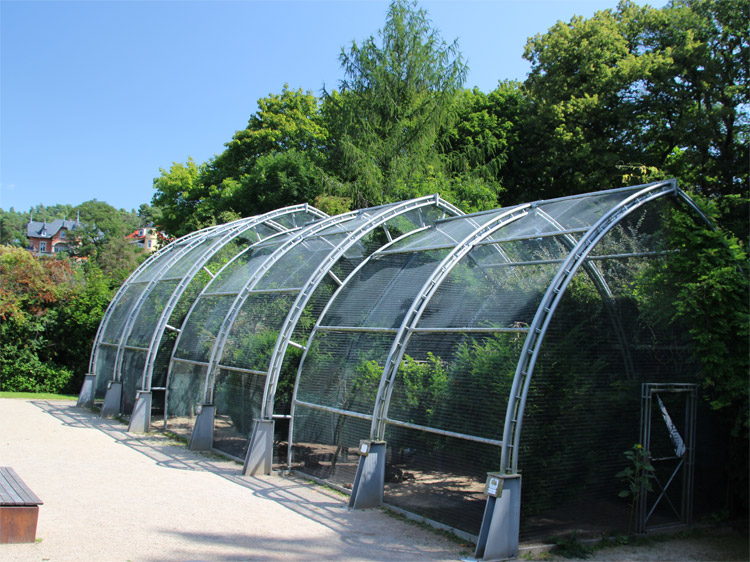 Fasanenvoliere im Schlosspark Blankenburg