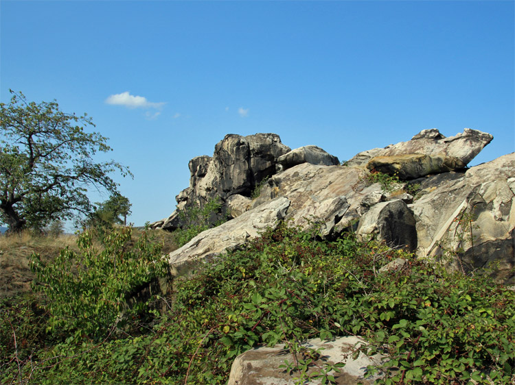Teufelsmauer - ein Natuschutzgebiet