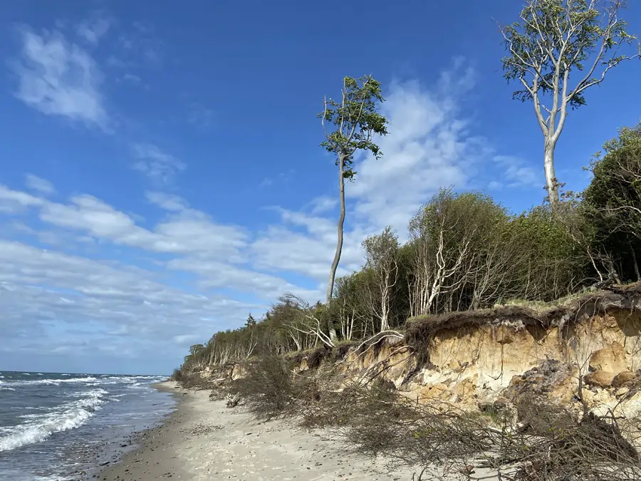  Dünen am Strand von Graal Müritz