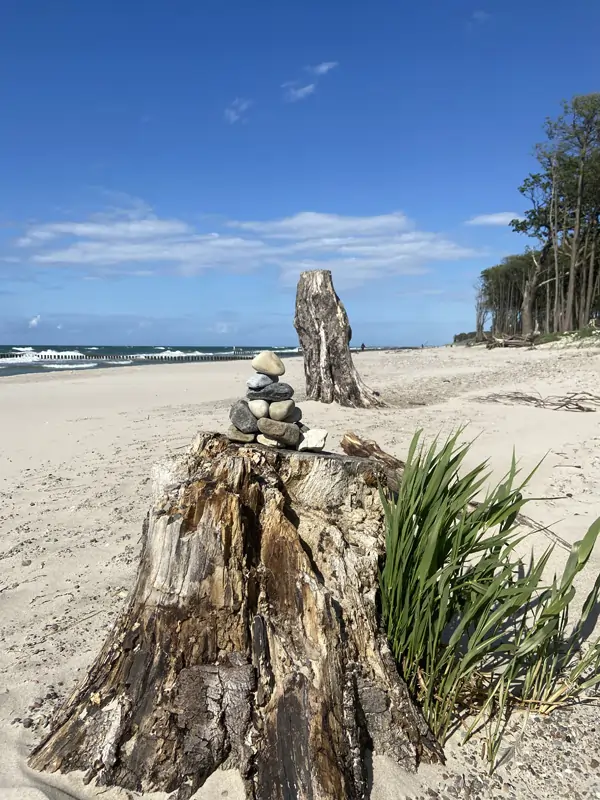 Graal Müritzer - Impressionen am Strand