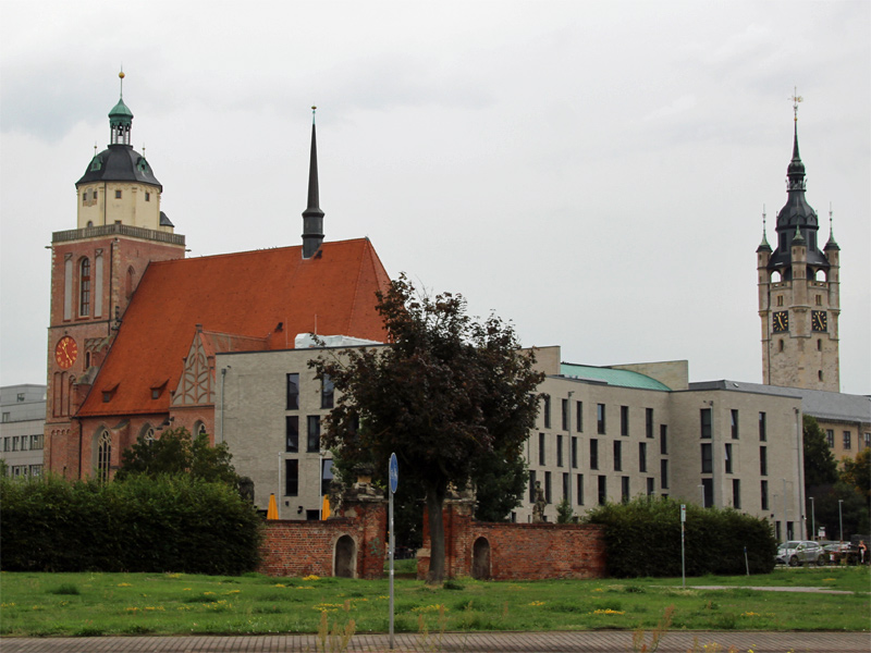 Blick aud Dessau vom Elberadweg