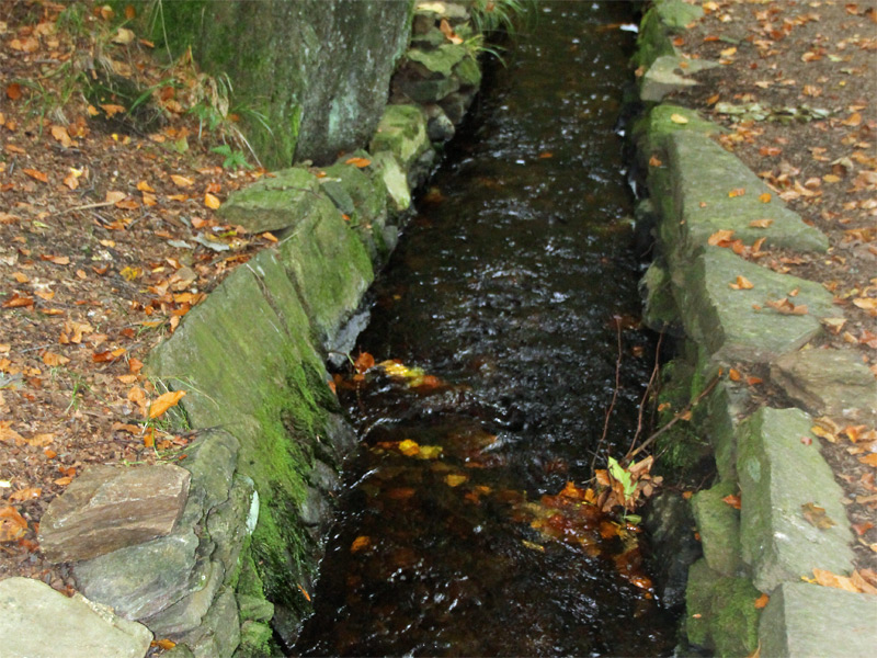 Grüne Graben im Tal der Roten Pockau