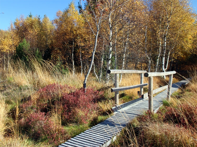 Auf dem Großen Lugstein