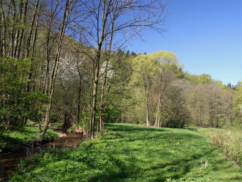 Müglitztal im Frühling / Osterzgebirge