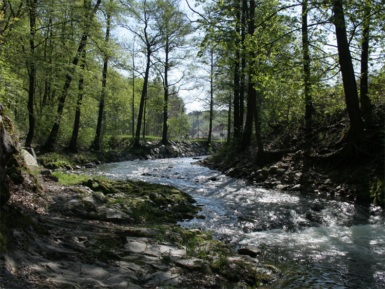 Müglitztal im Osterzgebirge / Sachsen