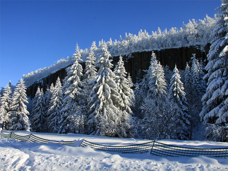 Basaltsäulen am Scheibenberg