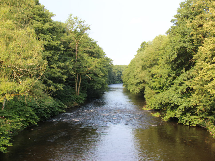 Zwickauer Mulde im Erzgebirge