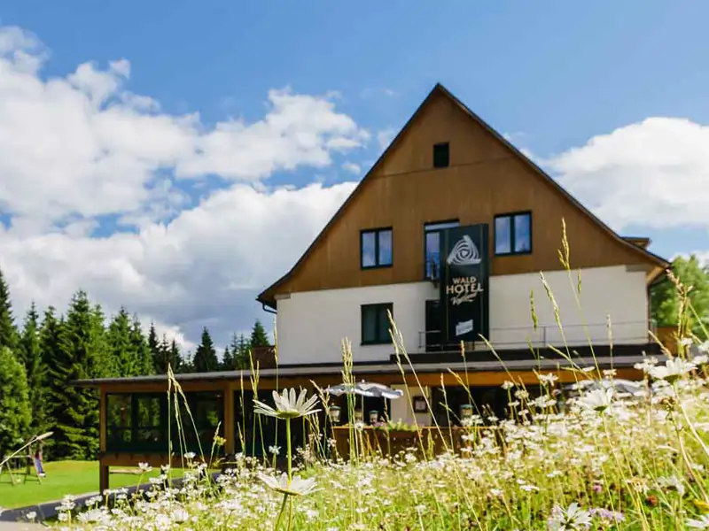 Waldhotel Vogtland Klingenthal OT Mühlleithen