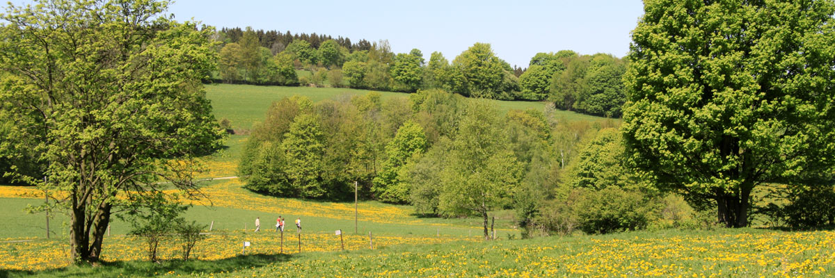 Wanderweg zum Pöhlberg