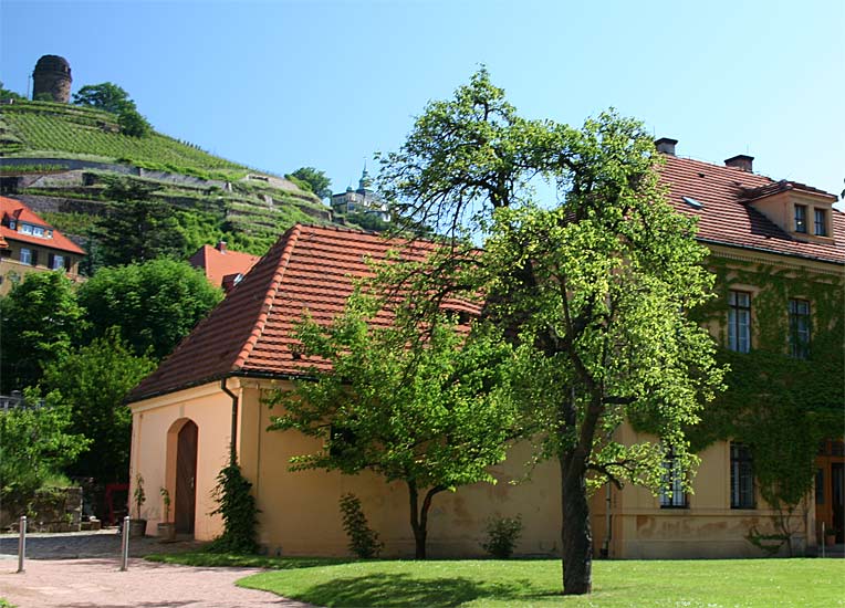 Weinstadt Radebeul