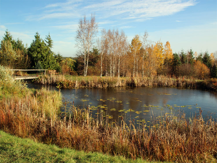 Tharandter Wald im Sächsischen Elbland