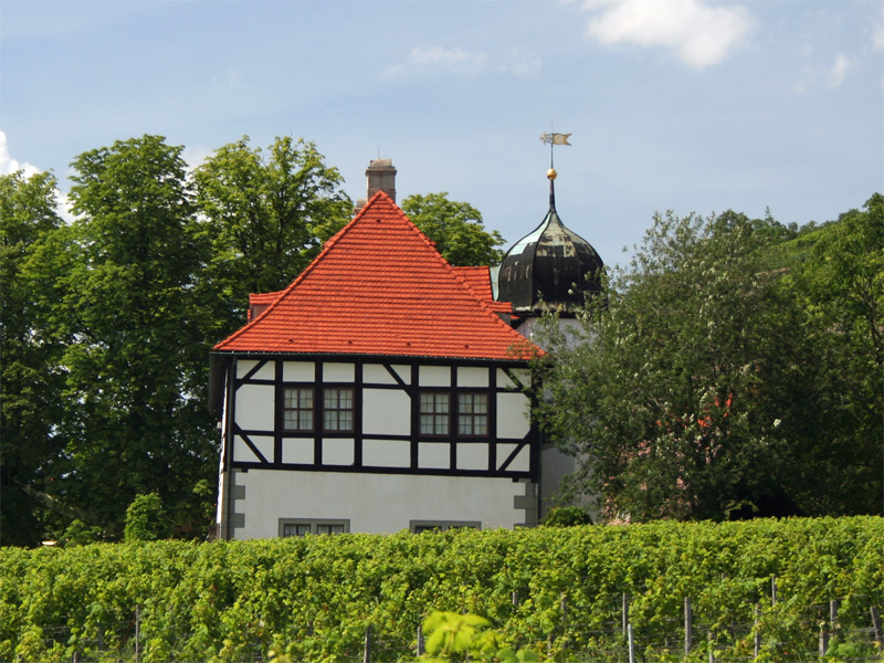 Weinmuseum Hofloessnitz