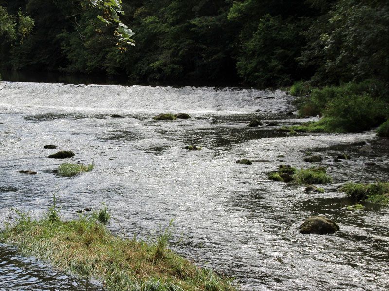 Weiße Elster in der Urlaubsregion Vogtland