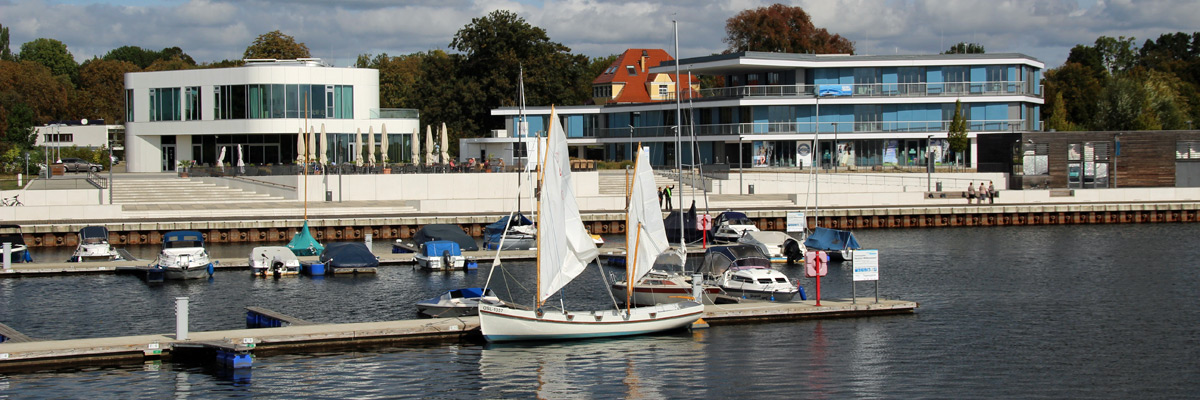 Am Ufer vom Senftenberger See