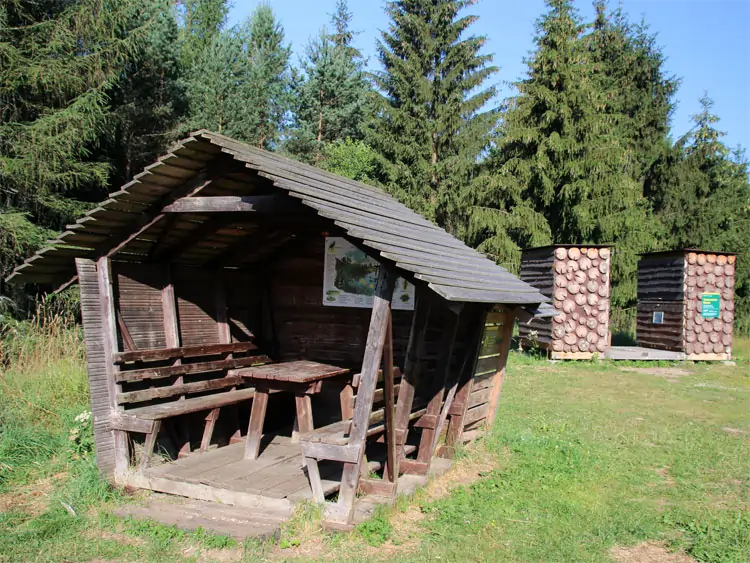 Forststeig in der Sächsisch-Böhmischen Schweiz