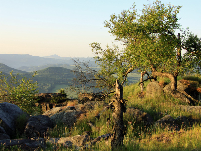 Hoher Schneeberg / Deciner-Schneeberg