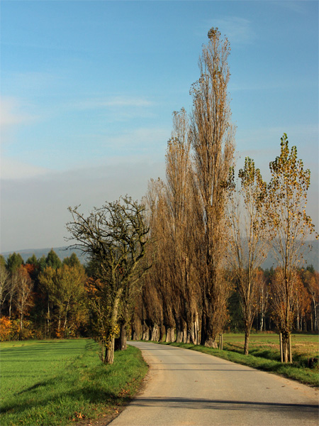 Kaiserstraße am Lilienstein