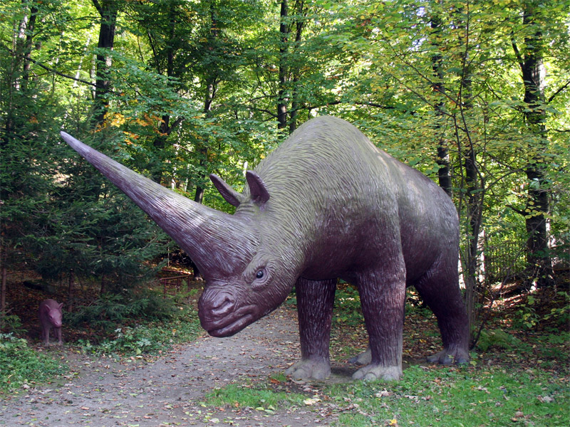 Abbild vom Nashorn im Urzeitpark Sebnitz