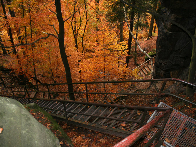 Abstieg vom Brand zum Tiefen Grund im Polenztal