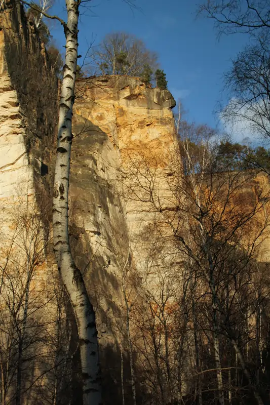 Weiße Brüche in Wehlen / Sächsische Schweiz