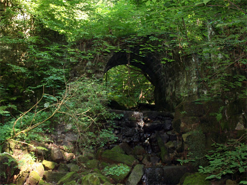 Lehrpfad_Hohnstein bei Ehrenberg