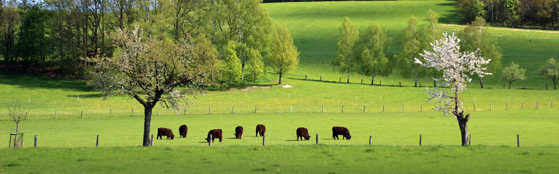 Waizdorfer Höhe bei Hohnstein