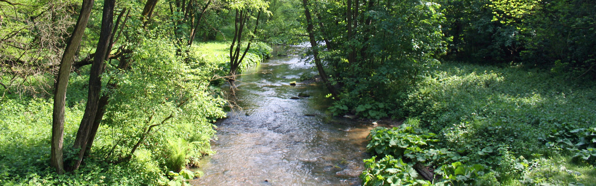Polenztal in der Sächsischen Schweiz