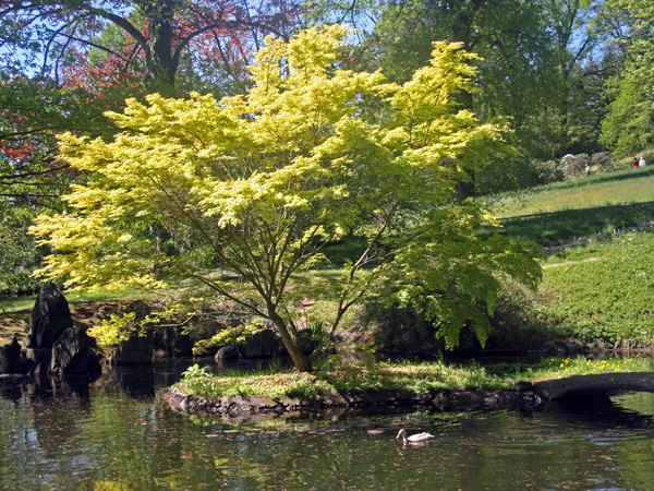 Schloßteich vom Landschloss Zuschendorf