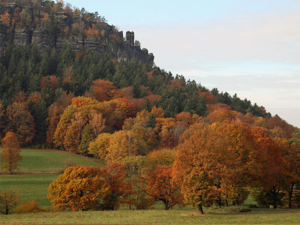 Herbstfärbung