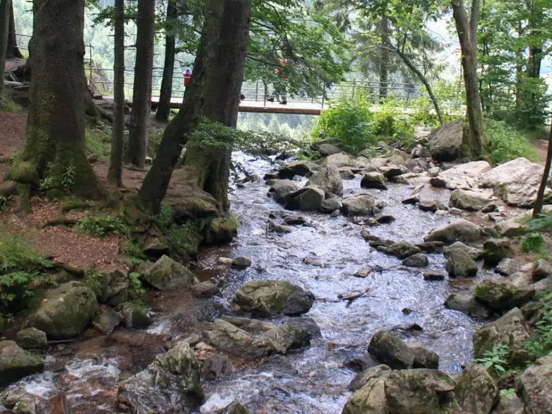 Stübenbach vom Ortsteil Todtnauberg