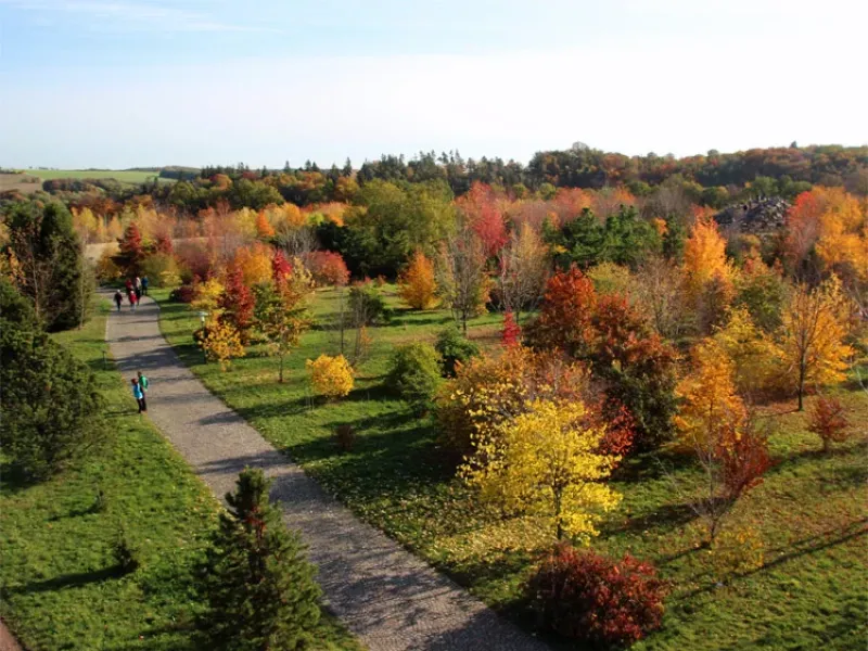 Forstbotanischer Garten Tharandt