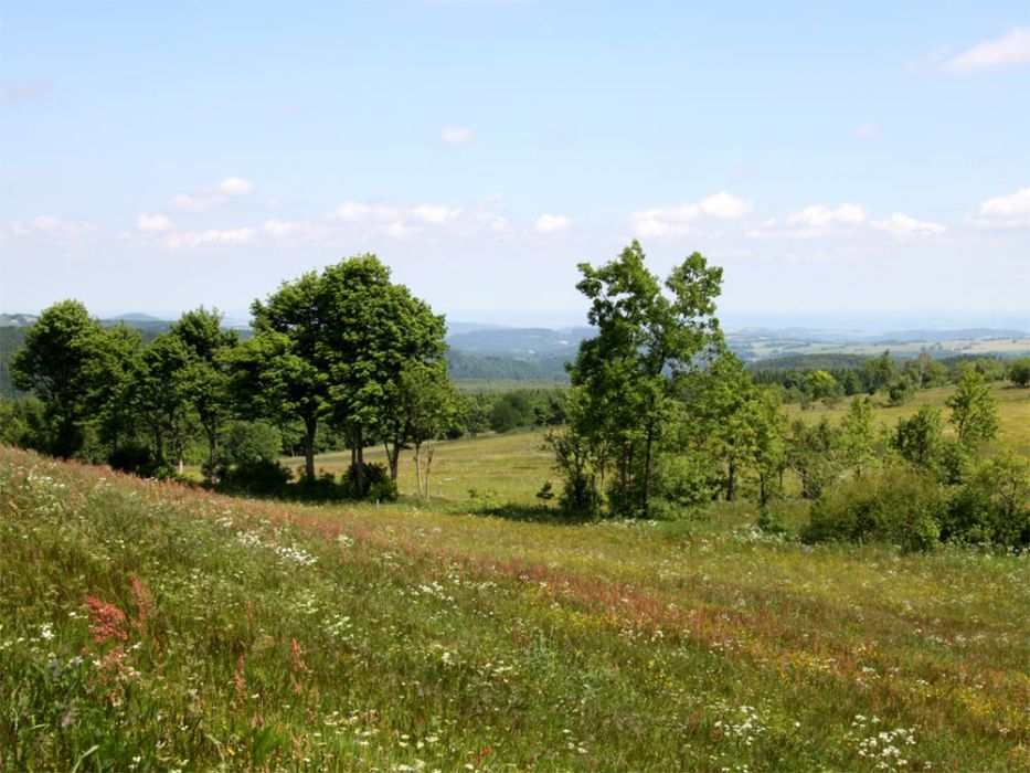 Wiesen stehen unter Naturschutzgebiet. 