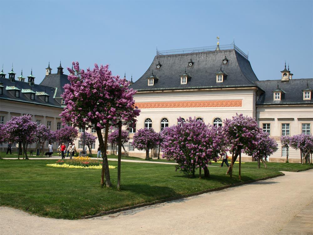 Neue Palais - Fliederhof zur Blütezeit