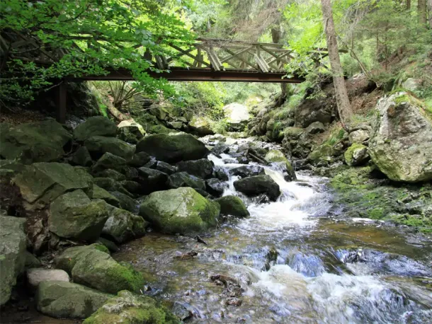 Ravennaschlucht im Schwarzwald