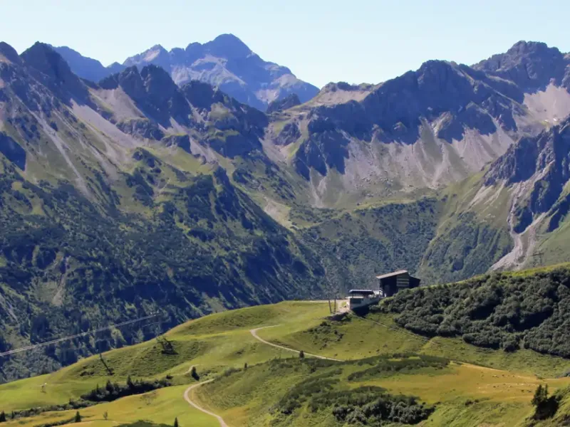 Fellhorn in Schwaben